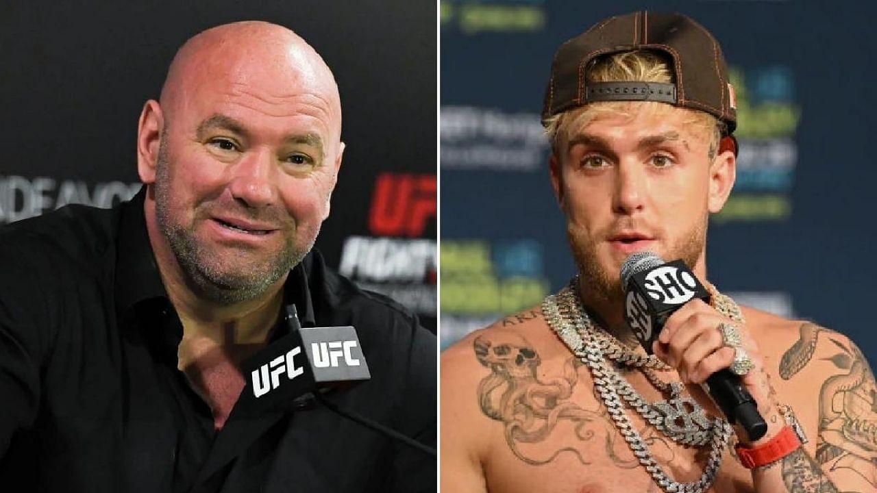 Dana White Jake Paul