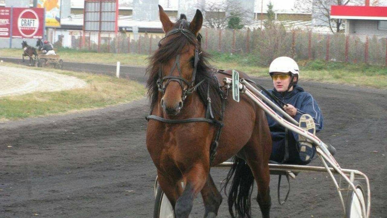 "My dream is to move back to Serbia and train horses after my basketball career": Nikola Jokic reveals post-retirement plans ahead of Elitloppet