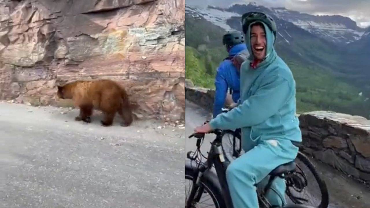 Daniel Ricciardo encounters Grizzly Bear while riding his bike on mountain