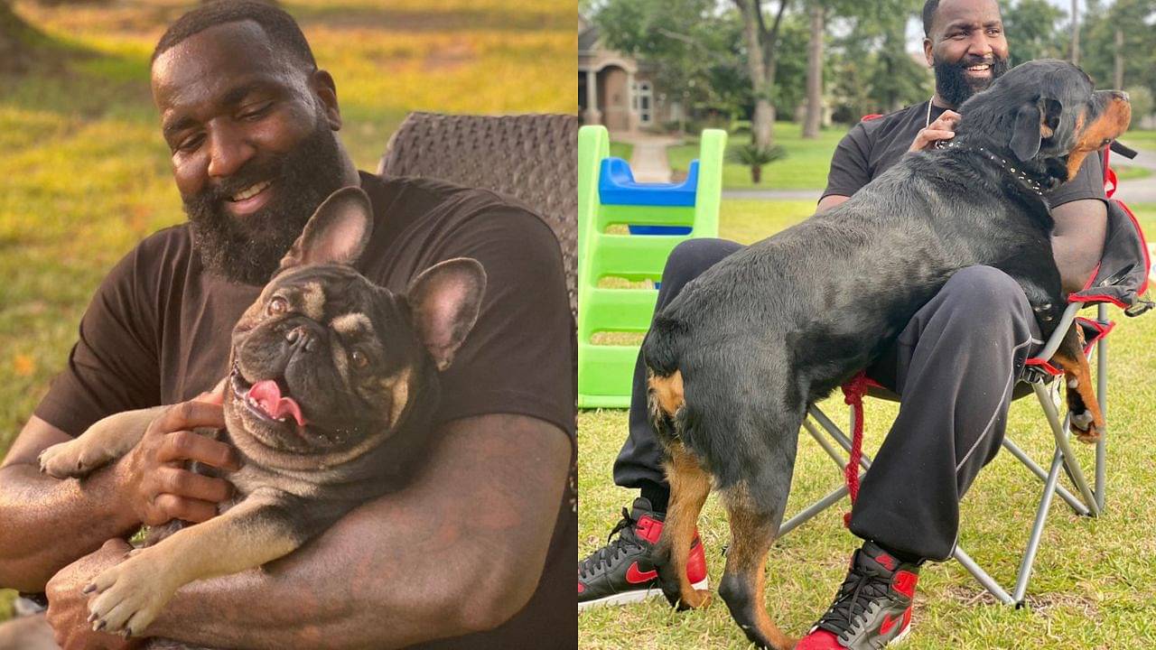 "Kendrick Perkins made $230K off four litters of French bulldog puppies": An insight into the former NBA player turned ESPN analyst's breeding business