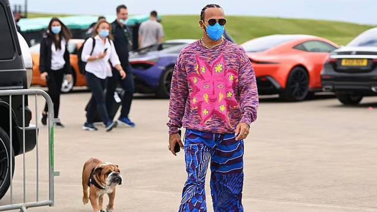"Lewis Hamilton is not the only Hamilton with bold fashion choices": Mercedes superstar's dog Roscoe was spotted wearing a $200 Dolce & Gabbana outfit