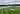 Birmingham cricket ground stats: Edgbaston batting or bowling pitch 5th Test ENG vs IND