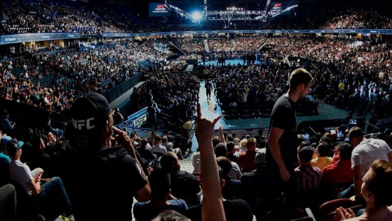 UFC Fans