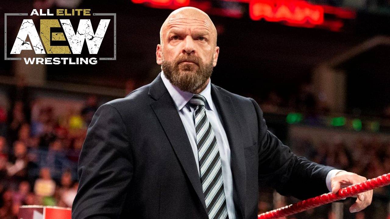WWE Create a Superstar Triple H head Wrestling 