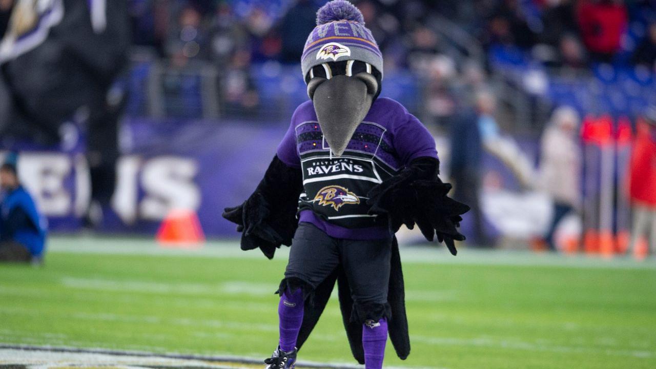 "It could only happen to the Ravens": NFL Twitter prays for Ravens' mascot Poe who sustained a gruesome leg injury during halftime game