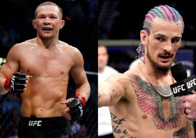 Aljamain Sterling Sean O'Malley Petr Yan