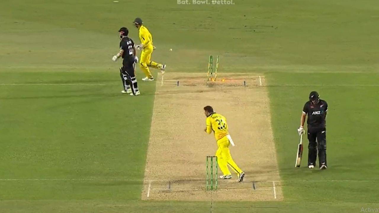 "Really negative cricket": Kane Williamson run out after mix-up with Glenn Phillips sums up New Zealand's tour of Australia 2022