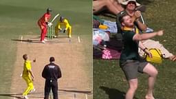 A fan scalped a stunning one-handed catch in the stands in the 3rd ODI match between Australia and Zimbabwe.