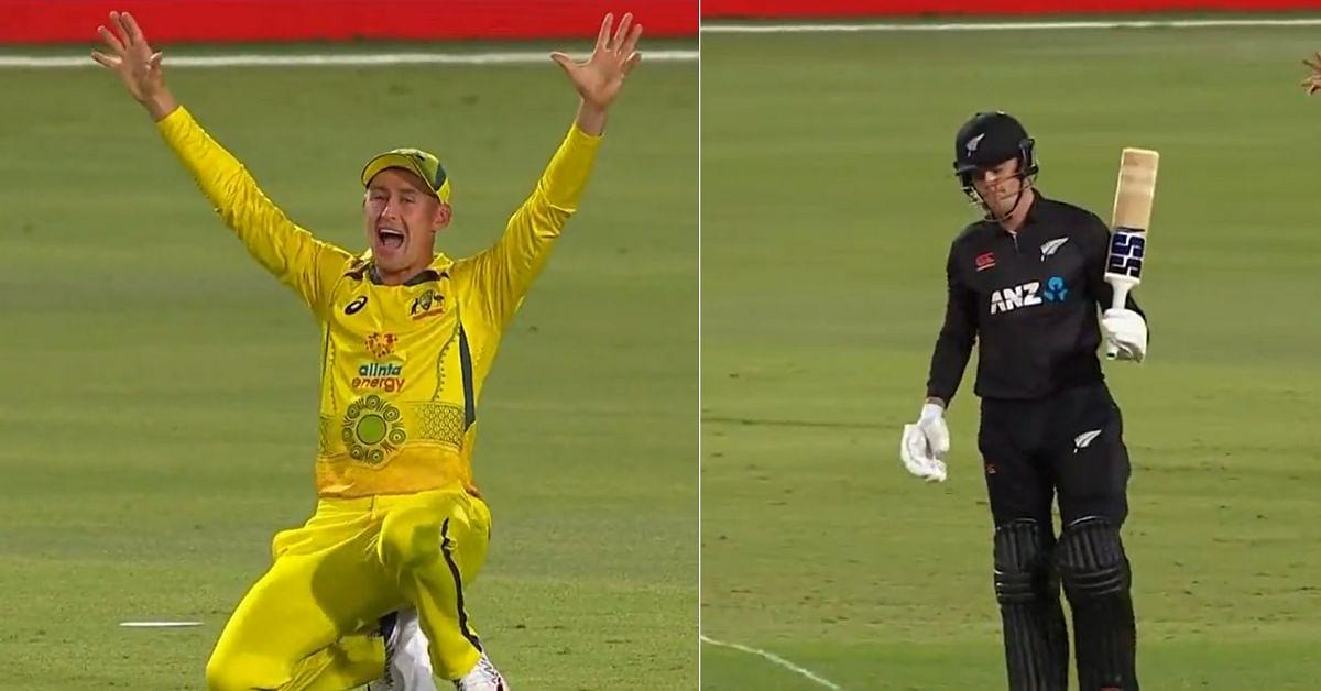 Marnus Labuschagne made a hilarious LBW against Finn Allen in the 3rd match of Australia vs New Zealand ODI series.