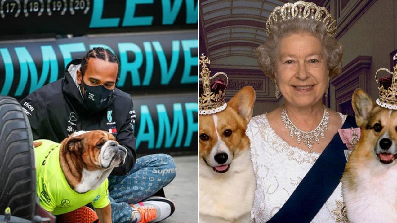 "We talked about our shared love of dogs": Lewis Hamilton mourns loss of Queen Elizabeth II while referring about their mutual love for dogs