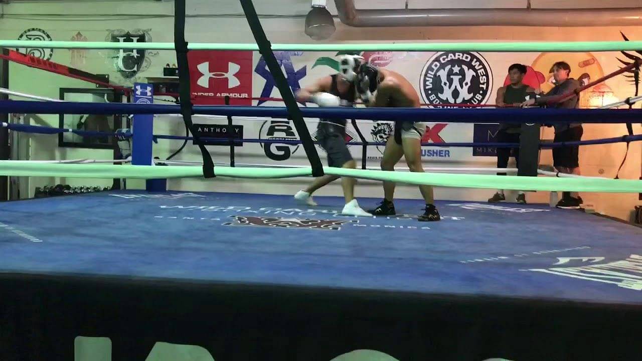 RARE: Images déterrées de Nate Diaz s’entraînant avec 27–1 boxeur viral au milieu des rumeurs de match de boxe avec Jake Paul