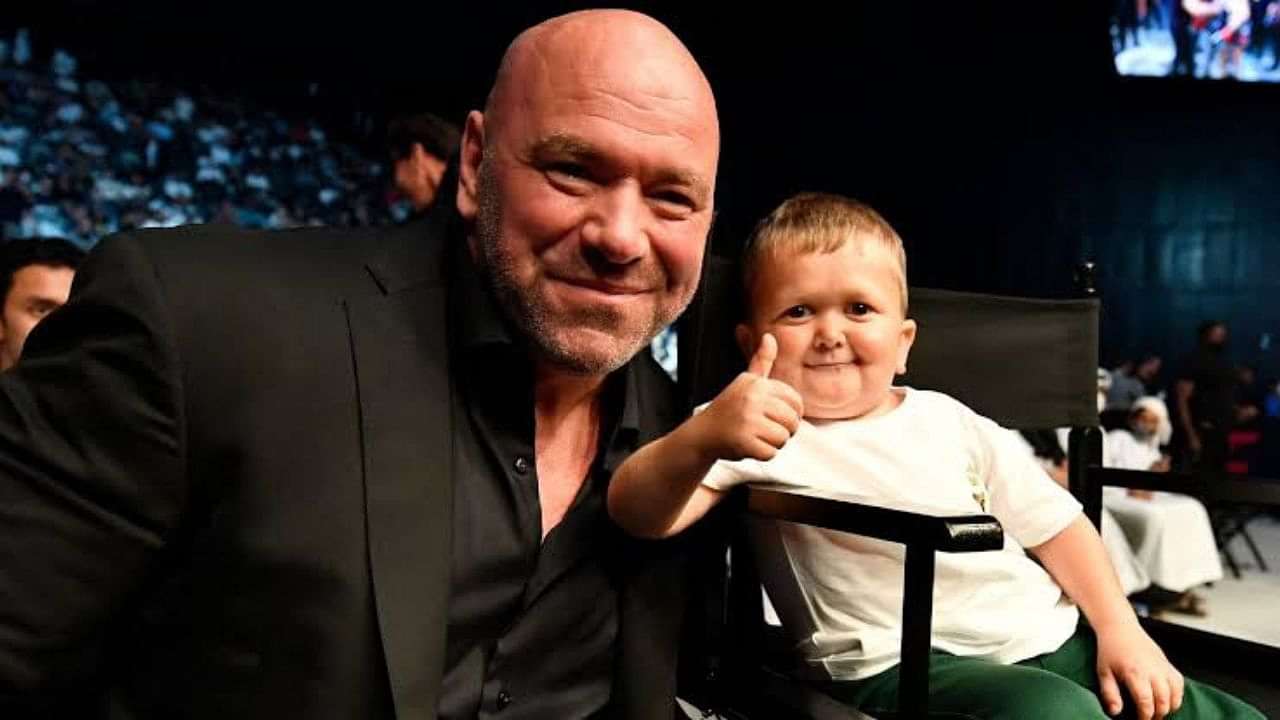 Hasbulla UFC Contract