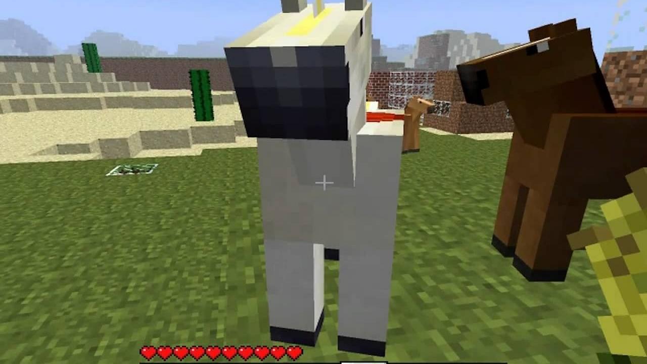 How to Breed Horses in Minecraft