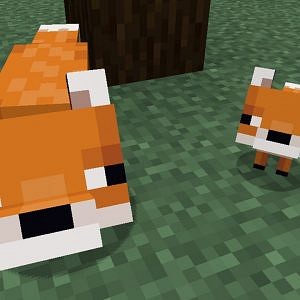 How to Tame a Fox in Minecraft - The SportsRush