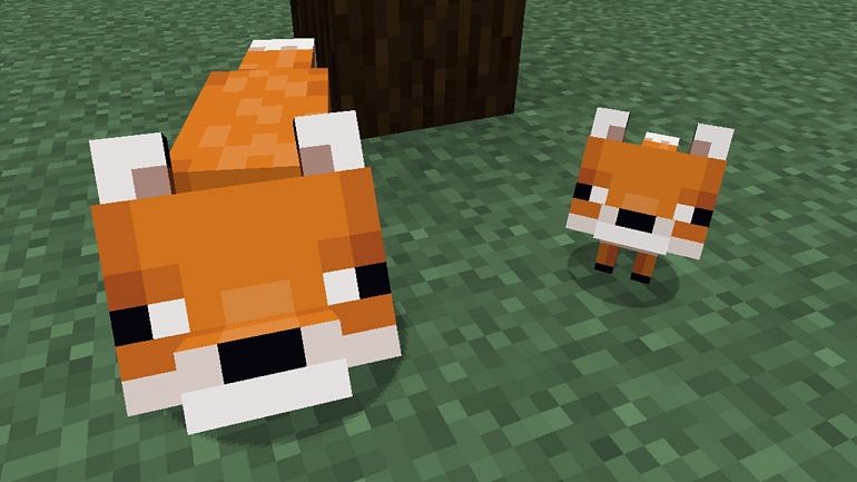 How to Tame a Fox in Minecraft - The SportsRush