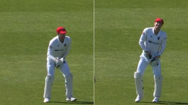 "Done some damage to himself": Alex Carey lands awkwardly on abdominal guard while grabbing catch in Sheffield Shield 2022-23