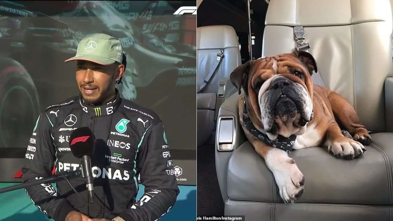 "Roscoe is the best travel pet" Lewis Hamilton shares his adorable first ever travel story with
