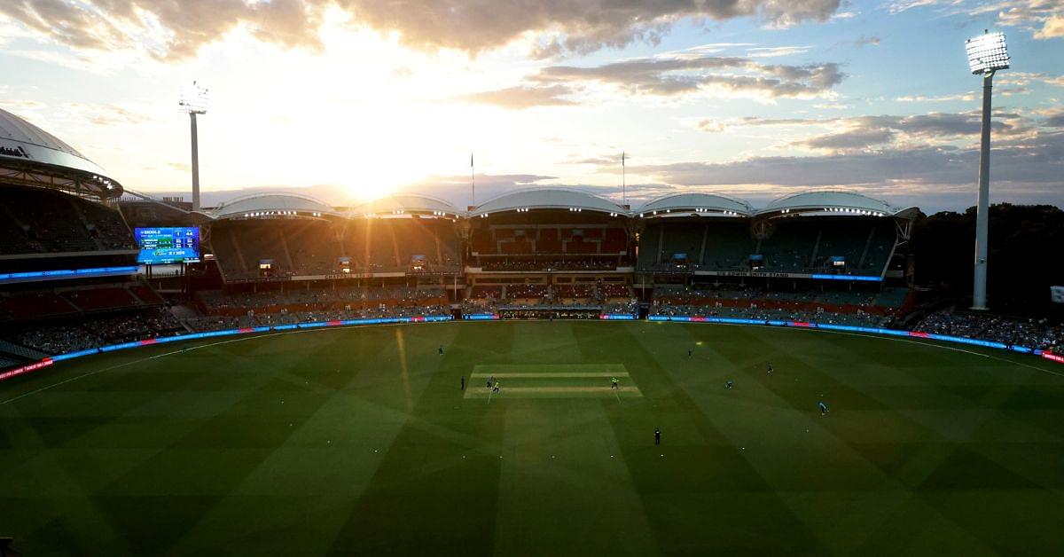 Adelaide Oval pitch report 1st ODI: Australia vs England pitch report for Adelaide ODI