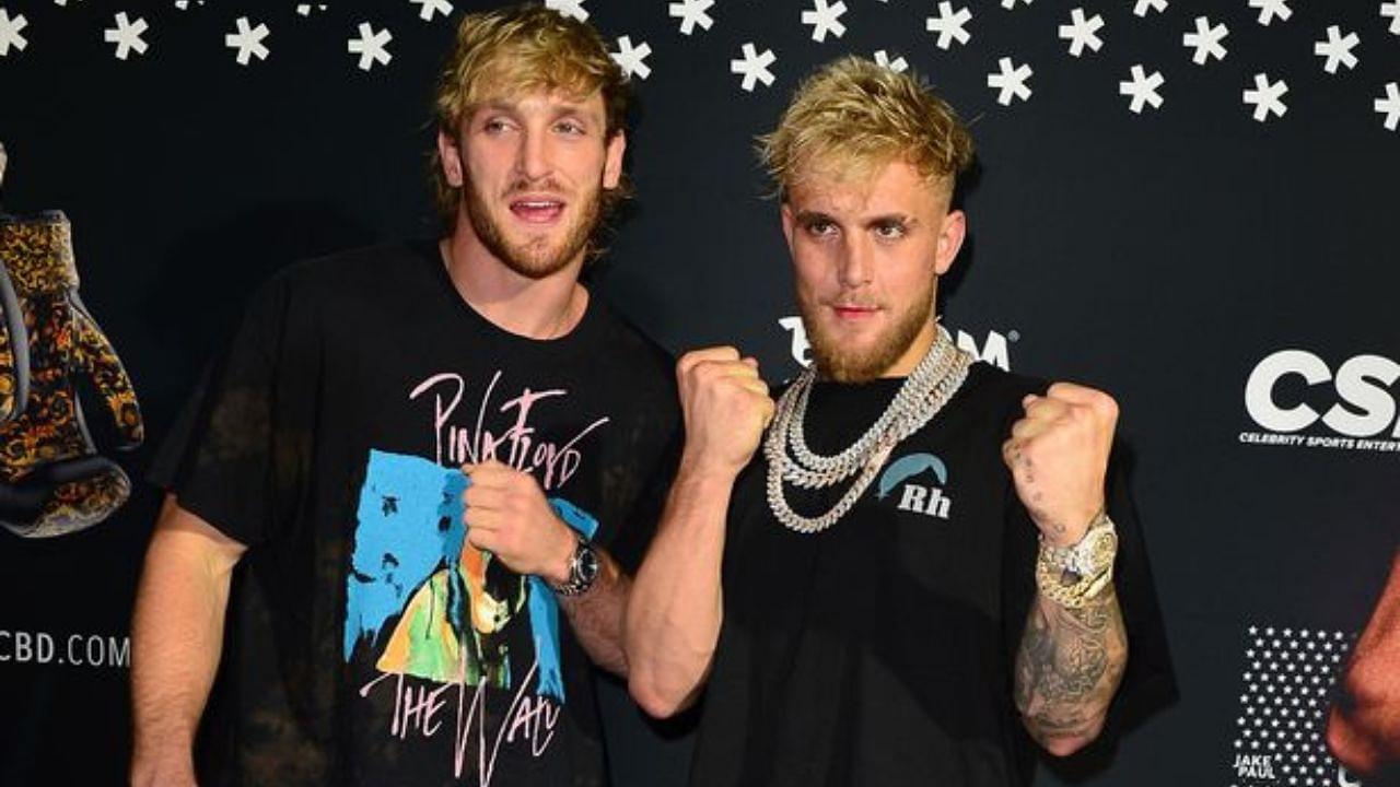 Triple H Jake Paul