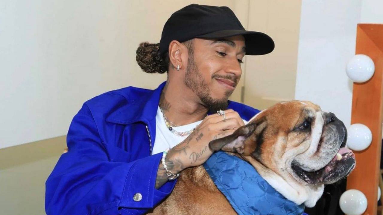 Lewis Hamilton's dog Roscoe fetches package from $200 million app he invested in to welcome him home