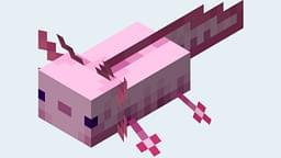 How To Minecraft: Breed Axolots and Store Them in Your Animal Farm