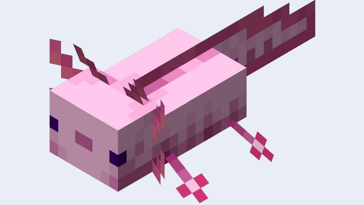 How To Minecraft: Breed Axolots and Store Them in Your Animal Farm