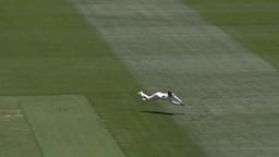 Marnus run out: Labuschagne catch today sums up terrific day on the field for Australian batter at the MCG