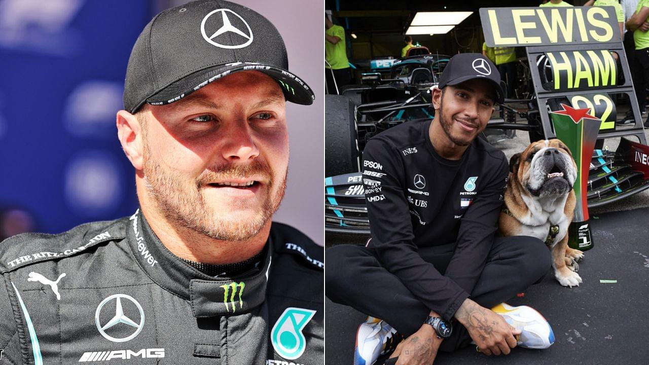 "Roscoe dropped a big tu*d in front of my door"- Valtteri Bottas reveals how Lewis Hamilton's dog used his front door as bathroom