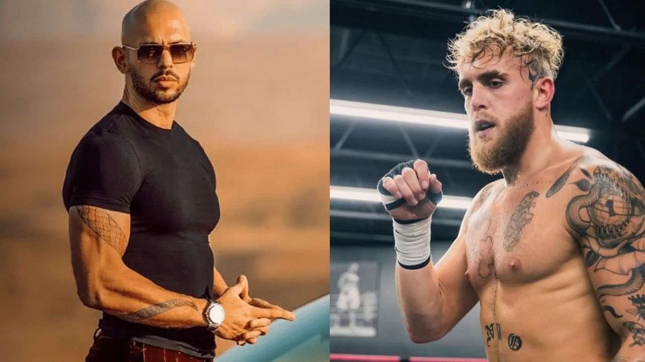 Andrew Tate: 'I don't think Me and Jake Paul are going to fight