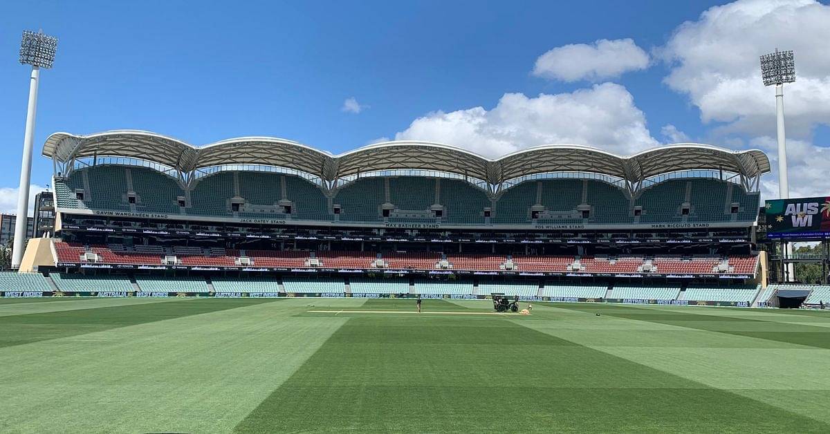 Adelaide Oval pitch report: Adelaide cricket stadium pitch report for Australia vs West Indies 2nd test