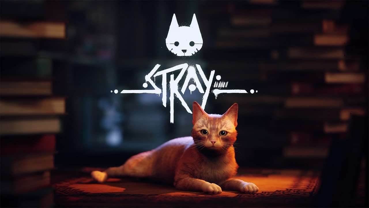 Stray Wins Best Debut Indie at The Game Awards 2022 