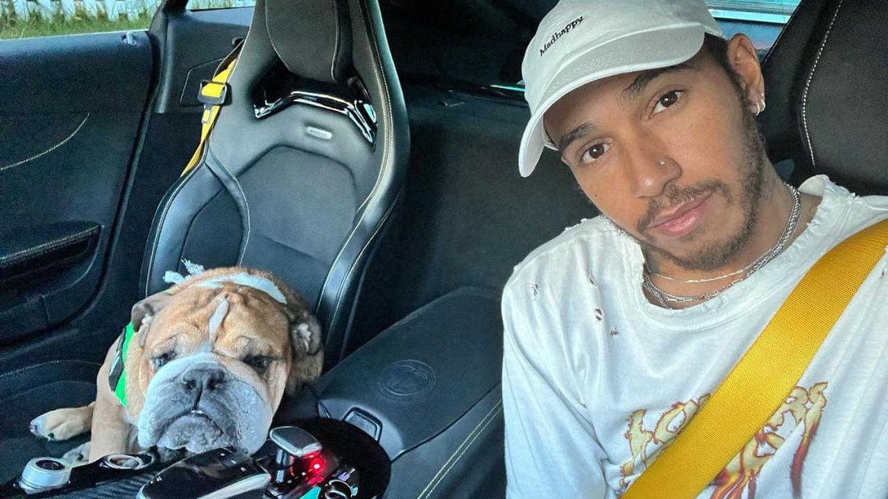 Lewis Hamilton’s Dog, With Over 725K Instagram Followers, Needs an Uber to Be Taken for a Walk