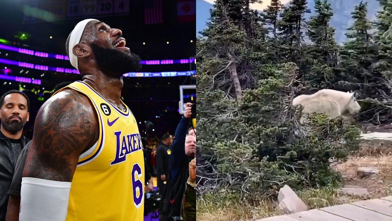 LeBron James Sends Subliminal Messages About His All-Time NBA Status With Cryptic Video of Huge "Mountain Animal"