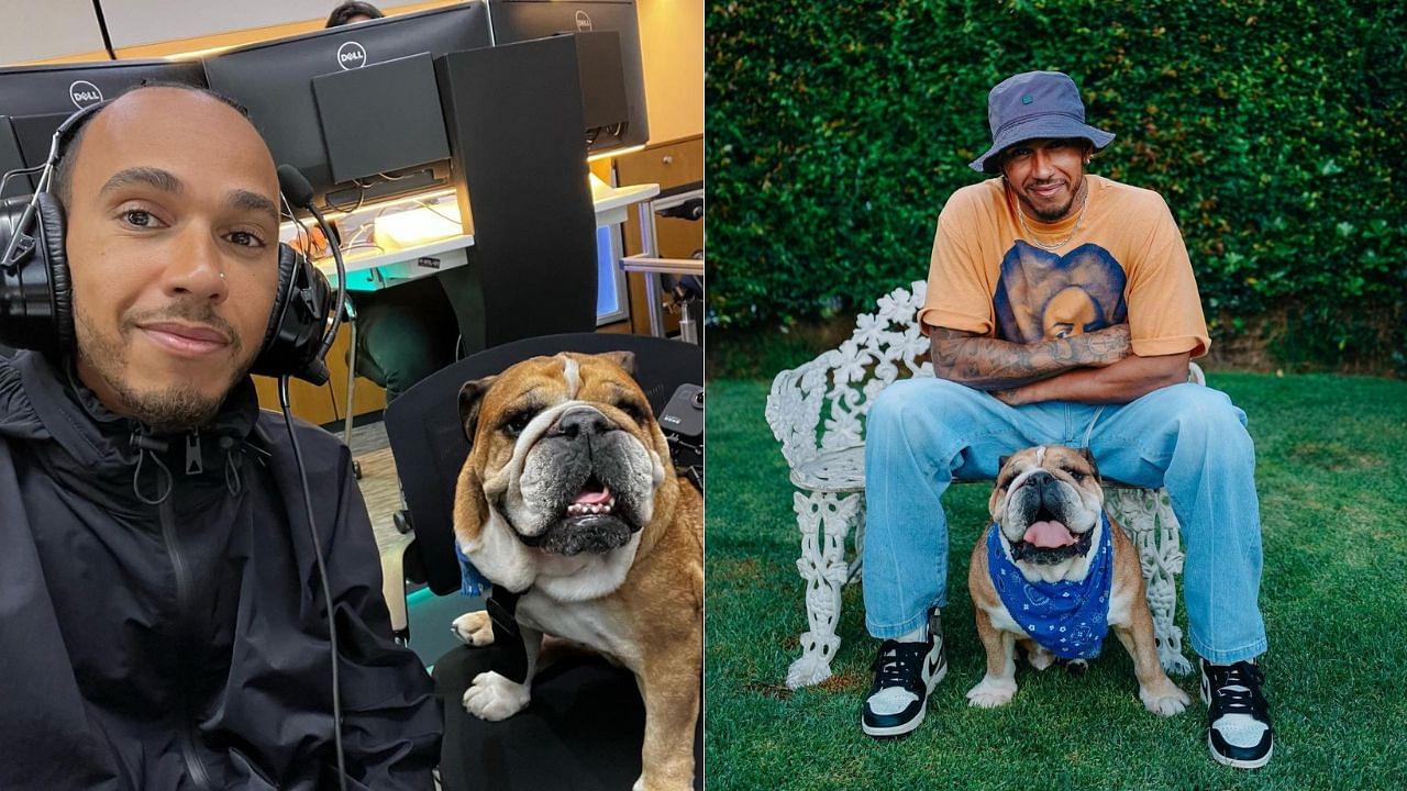 How 103 GP Winner Lewis Hamilton Proved He Could Take Care of His “Son” Roscoe?
