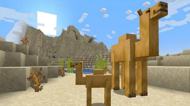 The Camel and Sniffer Mob in Minecraft Update 1.20; Learn All About Them in this Article!