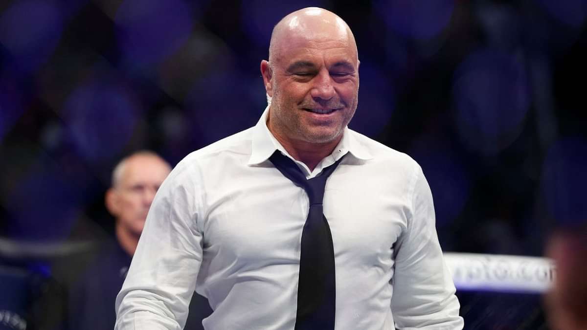 Fact Check: Does Popular UFC Commentator Joe Rogan Have Vitiligo? - The ...