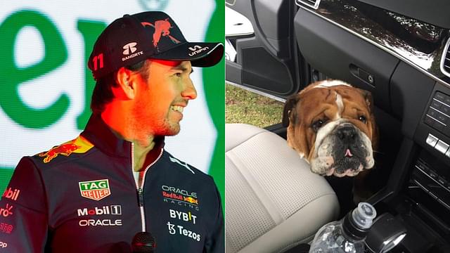 "Say Goodbye To Roscoe": When Sergio Perez Kidnapped Lewis Hamilton's Dog