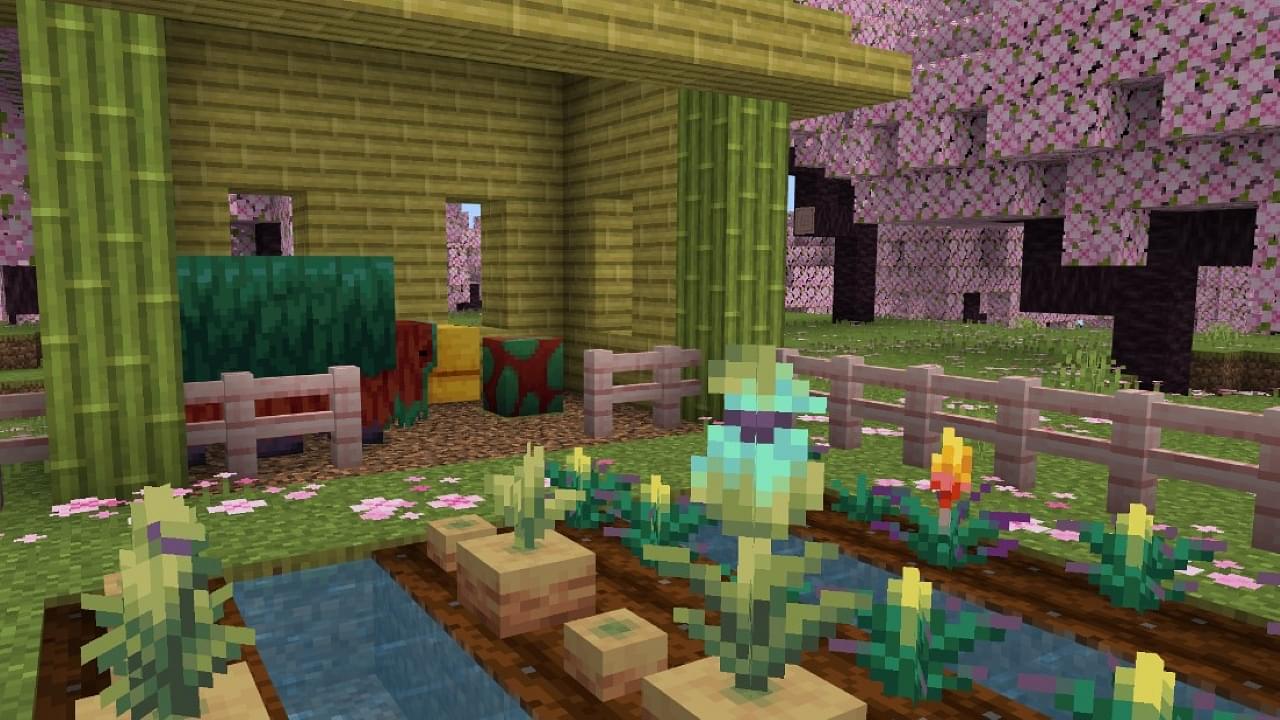 Minecraft Bedrock Patch Notes for Update 1.20.0.23 Beta