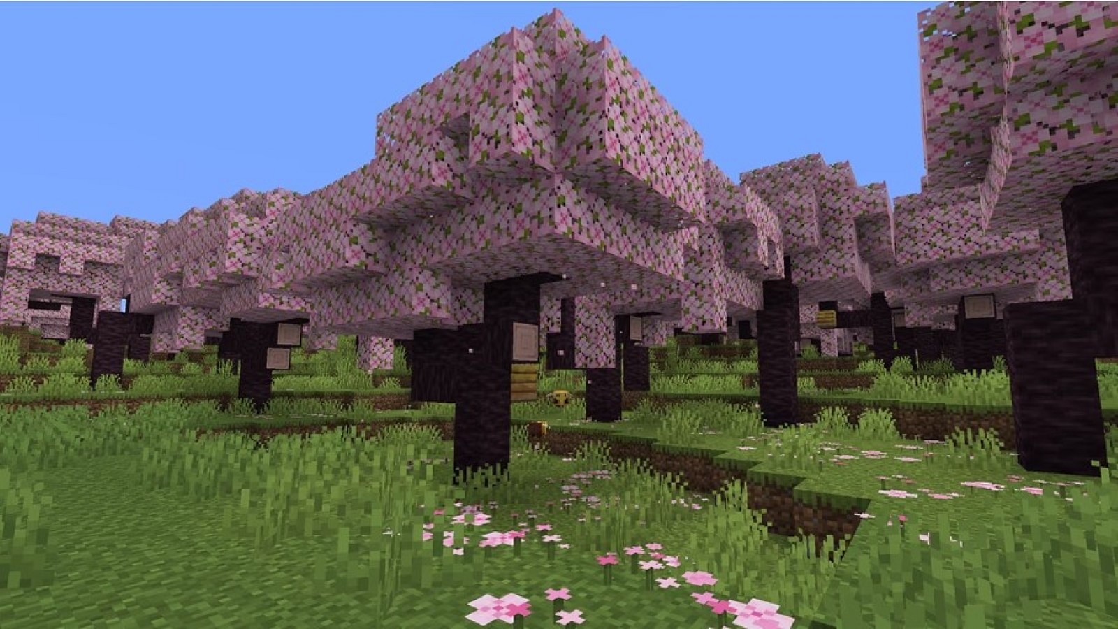 The 29 best Minecraft seeds for 1.20 and 1.21 2023