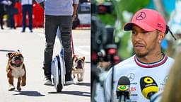 Lewis Hamilton Reminisces the Tragic Death of Roscoe’s Partner in Crime Coco