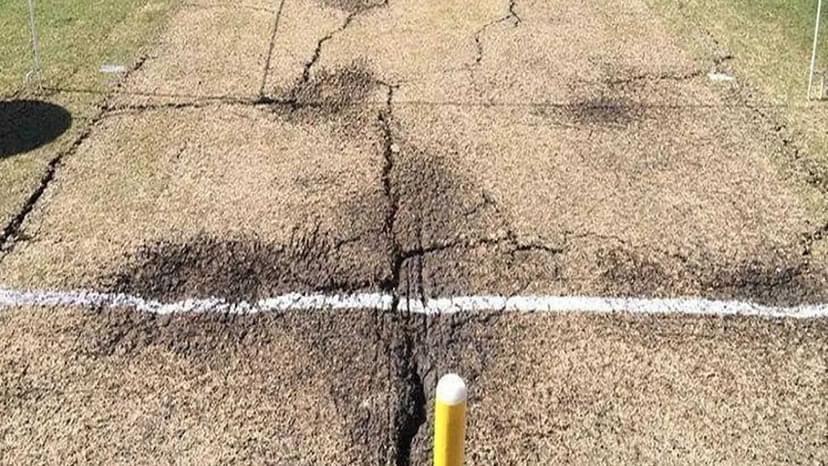 What is Danger Area on a Cricket Pitch?