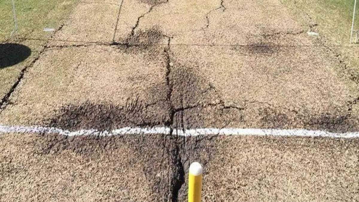 What is Danger Area on a Cricket Pitch? The SportsRush