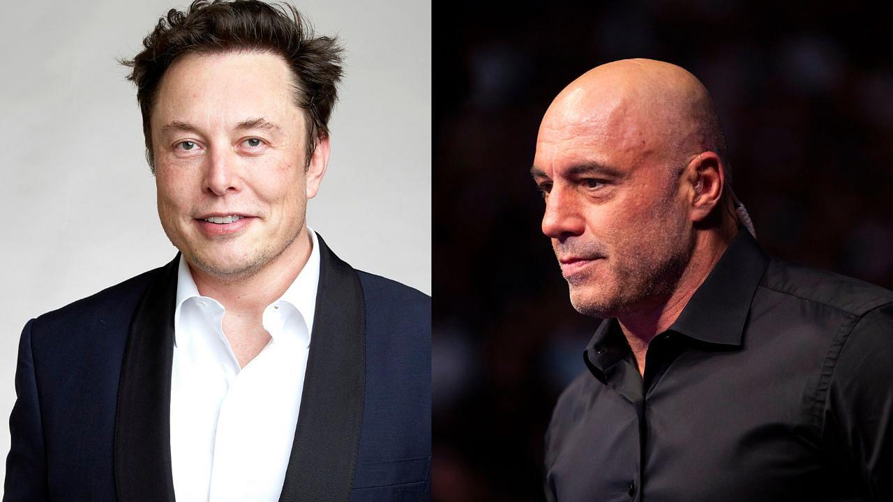 Elon Musk, Joe Rogan