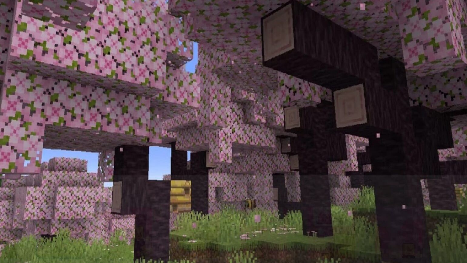 The Best Minecraft Seeds to Try Out in Update 1.20 - The SportsRush