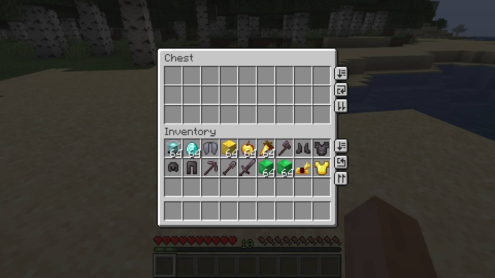 Rarest Items In Minecraft (& How To Get Them)