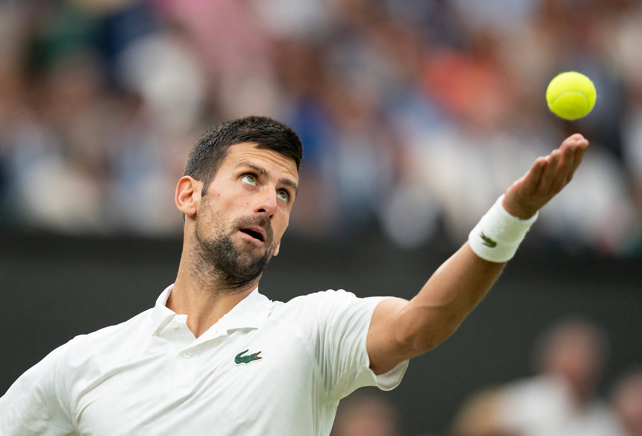 Will Novak Djokovic Break MASSIVE 26-Year-Old Pete Sampras Wimbledon Record?