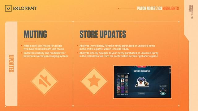 The general illustration of the Valorant 7.02 patch update