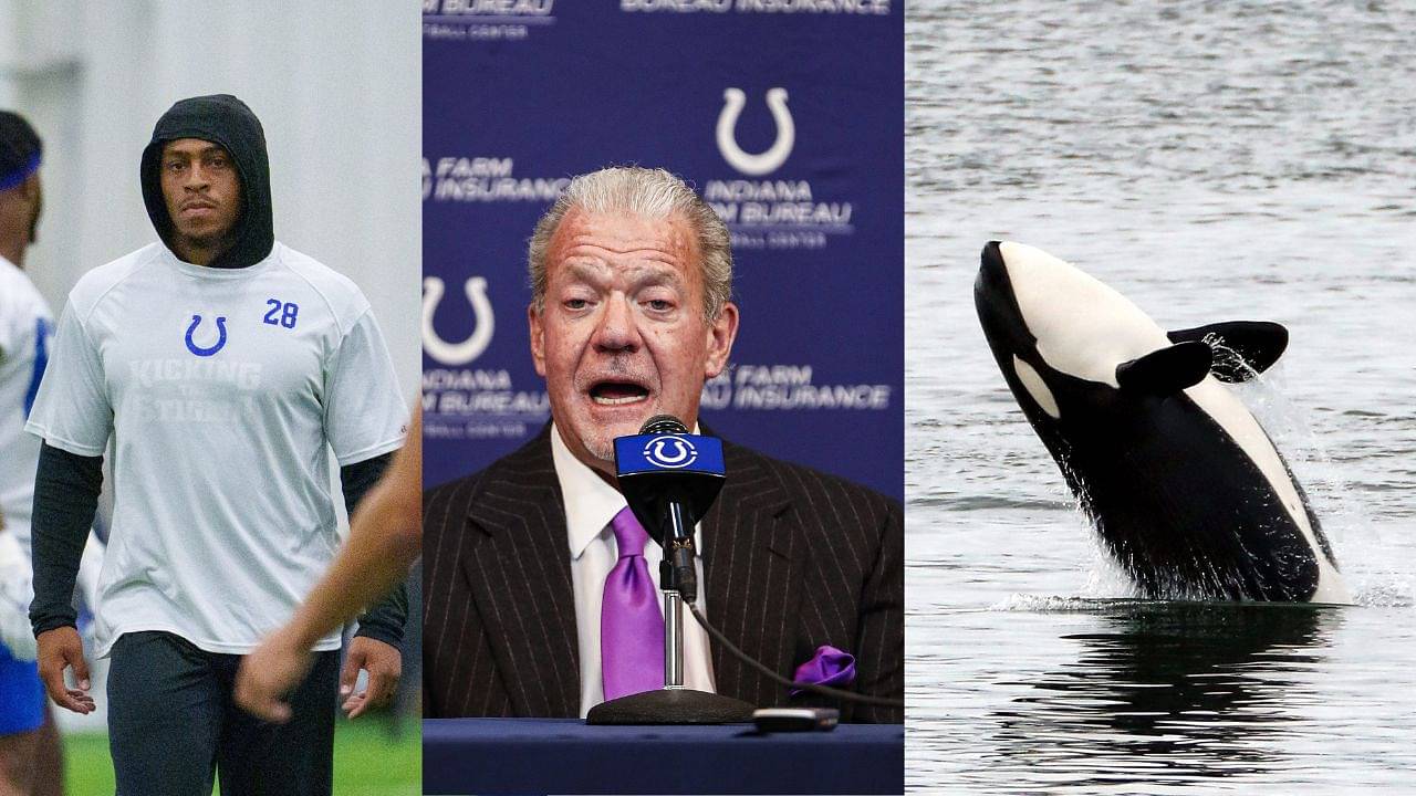 Amidst Jonathan Taylor Pay Drama, Jim Irsay Plans to Spend $20,000,000 on Transporting a Killer Whale
