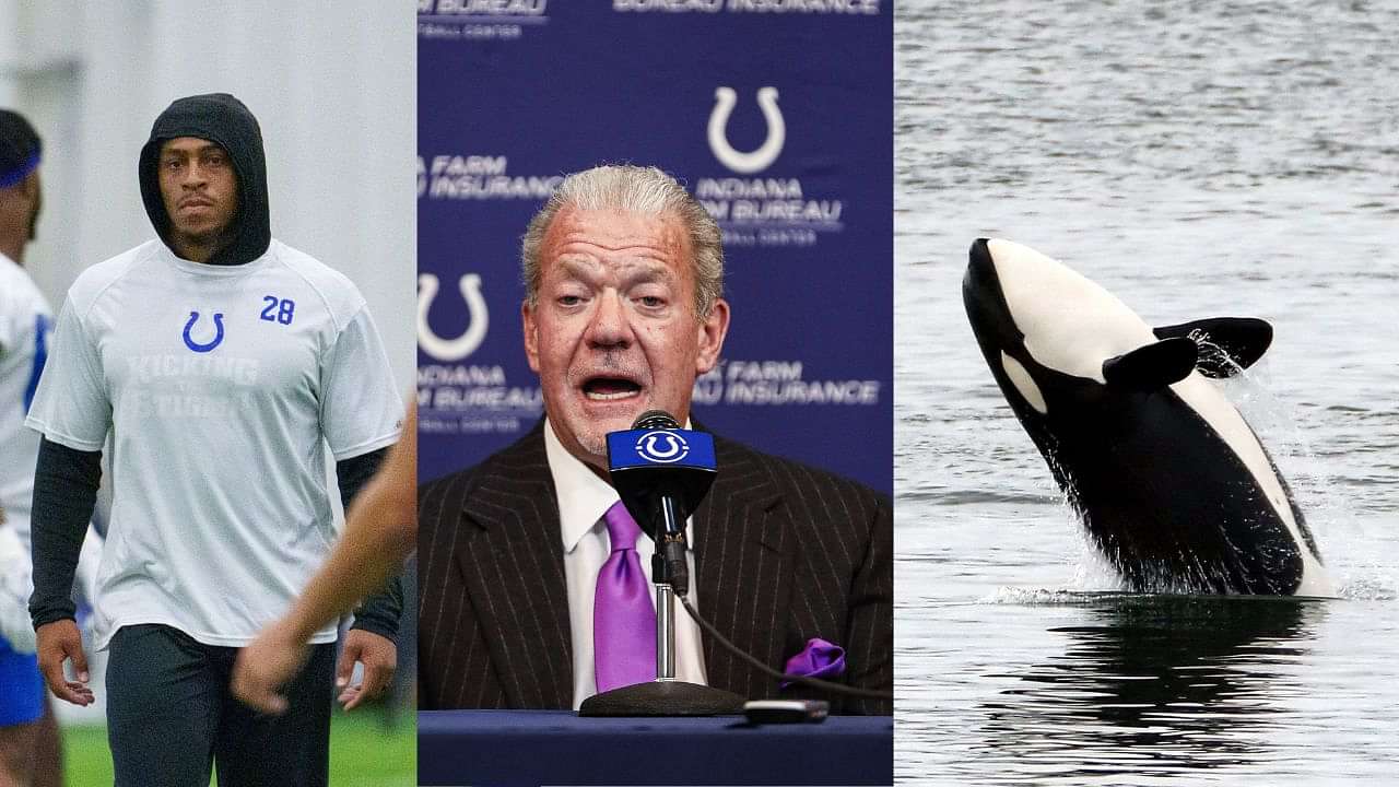 Colts Owner Jim Irsay Spends Nearly 5 Times Jonathan Taylor's