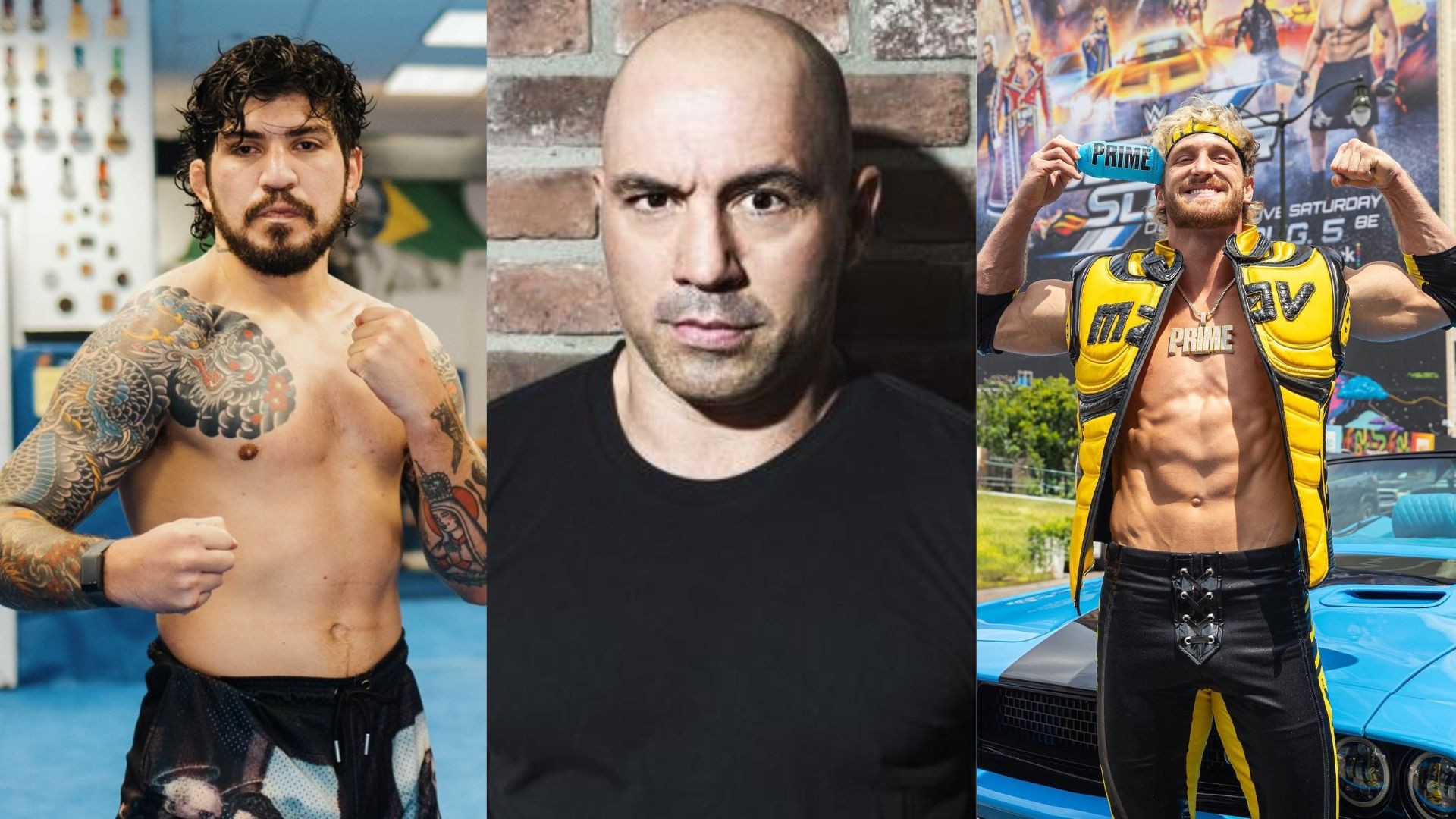 Joe Rogan talks Logan Paul vs Dillon Danis Archives The SportsRush